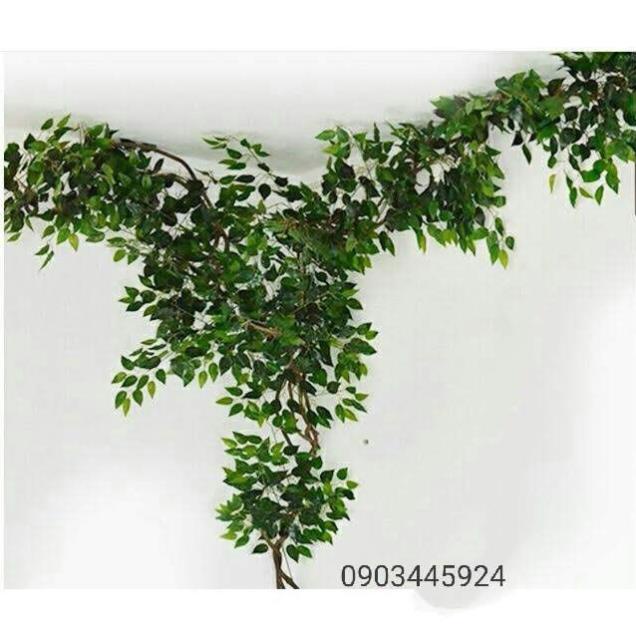 Lá Giả Trang Trí Nhà Đẹp Hàng Cao Cấp - hàng có sẵn