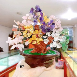 💥 giá cực rẻ 💥 cây đá phong thuỷ ngũ sắc