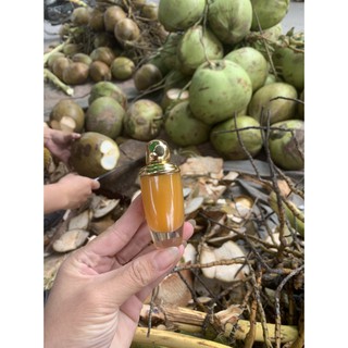 SON MÔI NGHỆ GẤC DẦU DỪA