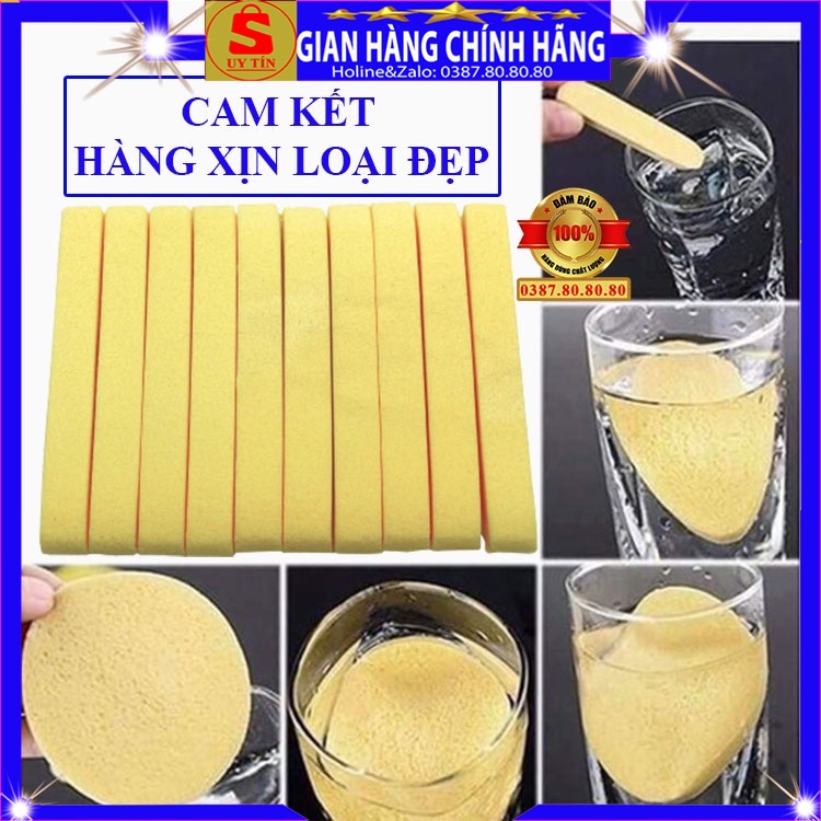 Set 10 Miếng bông mút rửa mặt dạng nén nở hàng loại 1 xịn cao cấp chính hãng Sidumi hàn quốc bọt biển tạo bọt spa tốt