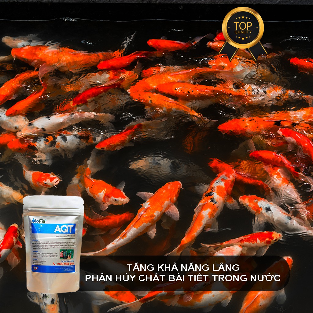 Vi sinh xử lý tảo, làm sạch nước ao nuôi, kích thích tăng trường thủy sản - BioFix AQT gói 150 gram - Hàng Mỹ