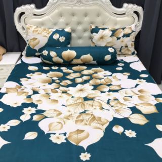 Drap thun hàn quốc