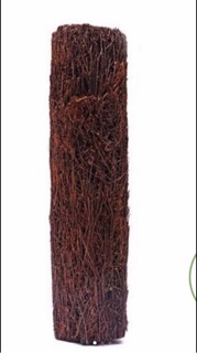 Dớn trụ trồng lan