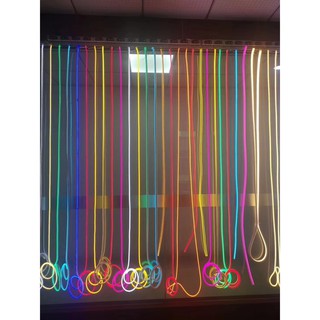 Led Neon 12v