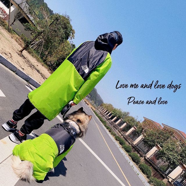 Áo mưa cho chó cưng vừa và lớn săn lông vàng Alaska Husky Samoyed master poncho trang phục cha mẹ-con