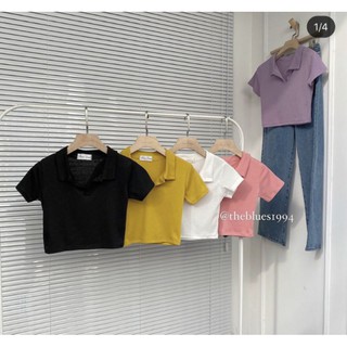 Áo croptop cổ polo ( thun bozip loại đẹp )
