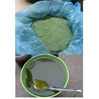 Combo 5kg bột lá găng làm thạch xanh