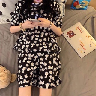 Bộ hoa cúc
