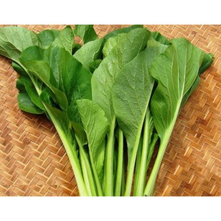 Hạt Giống Cải Ngọt Cao Sản