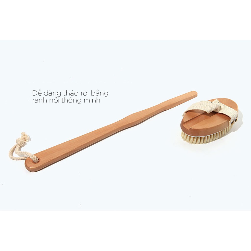 Bàn chải khô đa năng chăm sóc da đẹp xinh toàn diện | BigBuy360 - bigbuy360.vn