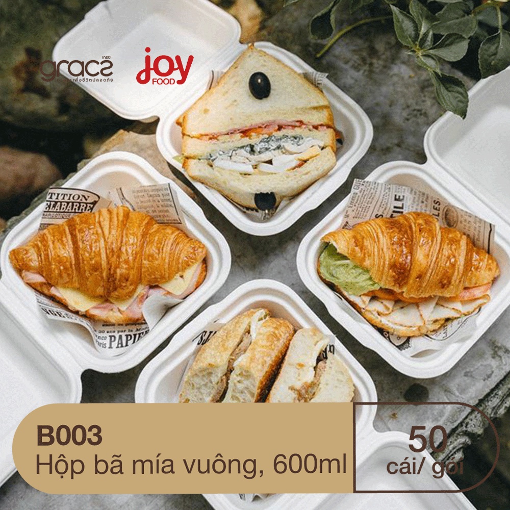 Sỉ 50 hộp bã mía vuông Gracz đựng bánh kem, bánh bento, hamburger, bảo vệ môi trường hàng Thái chất lượng giá cạnh tranh