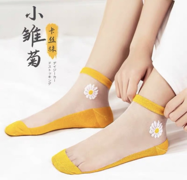 VỚ / TẤTLƯỚI THOÁNG - cúc hoạ mi