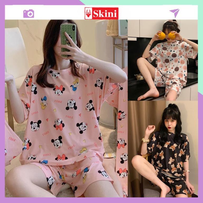 Bộ đồ ngủ nữ pijama dễ thương, Đồ bộ nữ cotton thun cộc tay mùa hè chất mát nhiều hoạ tiết đẹp - BDN22 ‣ *