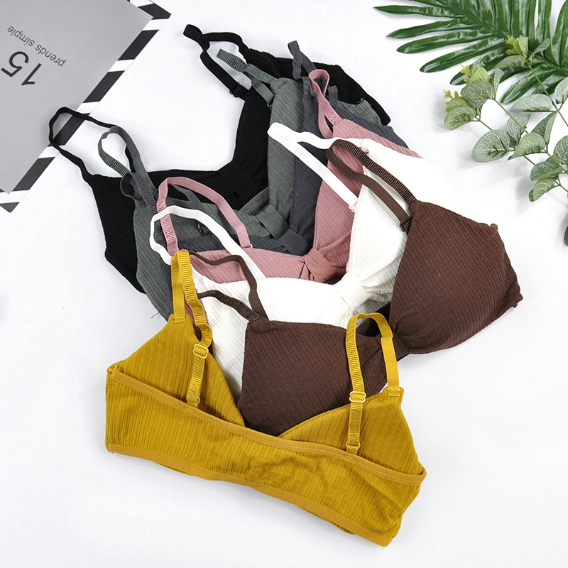 Áo lót thể thao cổ chữ V gợi cảm cho nữ