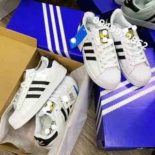 giày thể thao sneaker sò tem vàng basic 1:1