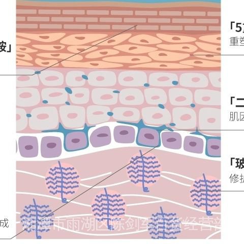 Tinh Chất Toner Hbn Giúp Dưỡng Ẩm Da Hiệu Quả