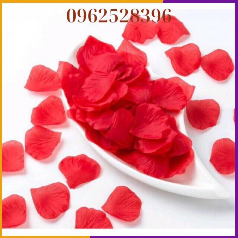 Set bóng trang trí phòng cưới màu thạch lựu đỏ nổi bật