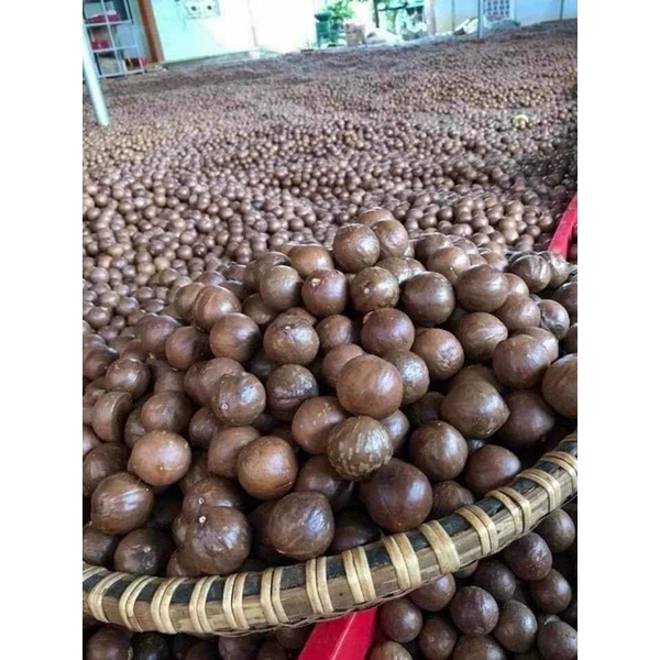 Nhân mắc ca tươi tách vỏ nấu cháo, say sinh tố rất tốt cho sức khỏe. Đặc biệt là bà bầu, trẻ em, người lớn tuổi