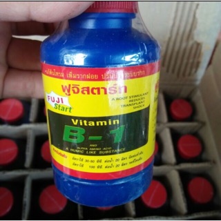 Vitamin B1 Thái Lan 100ml