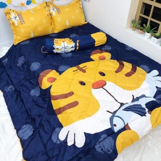 Set phao poly nhập