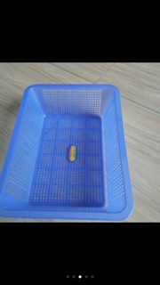 Rổ nhựa chữ nhật