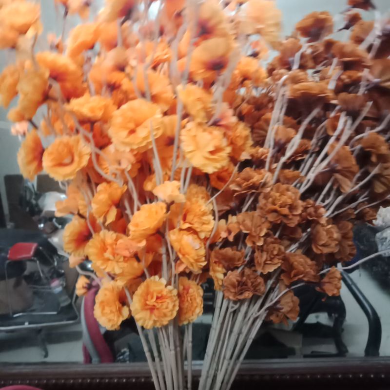 (hot) 10 cành hoa đào râu (tự chọn mẫu ib)