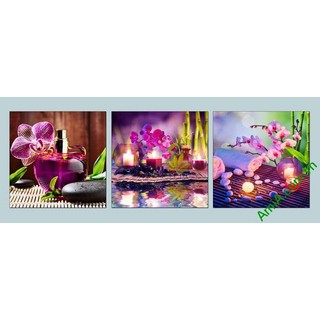 BỘ 3 TRANH SPA (40*40*3)