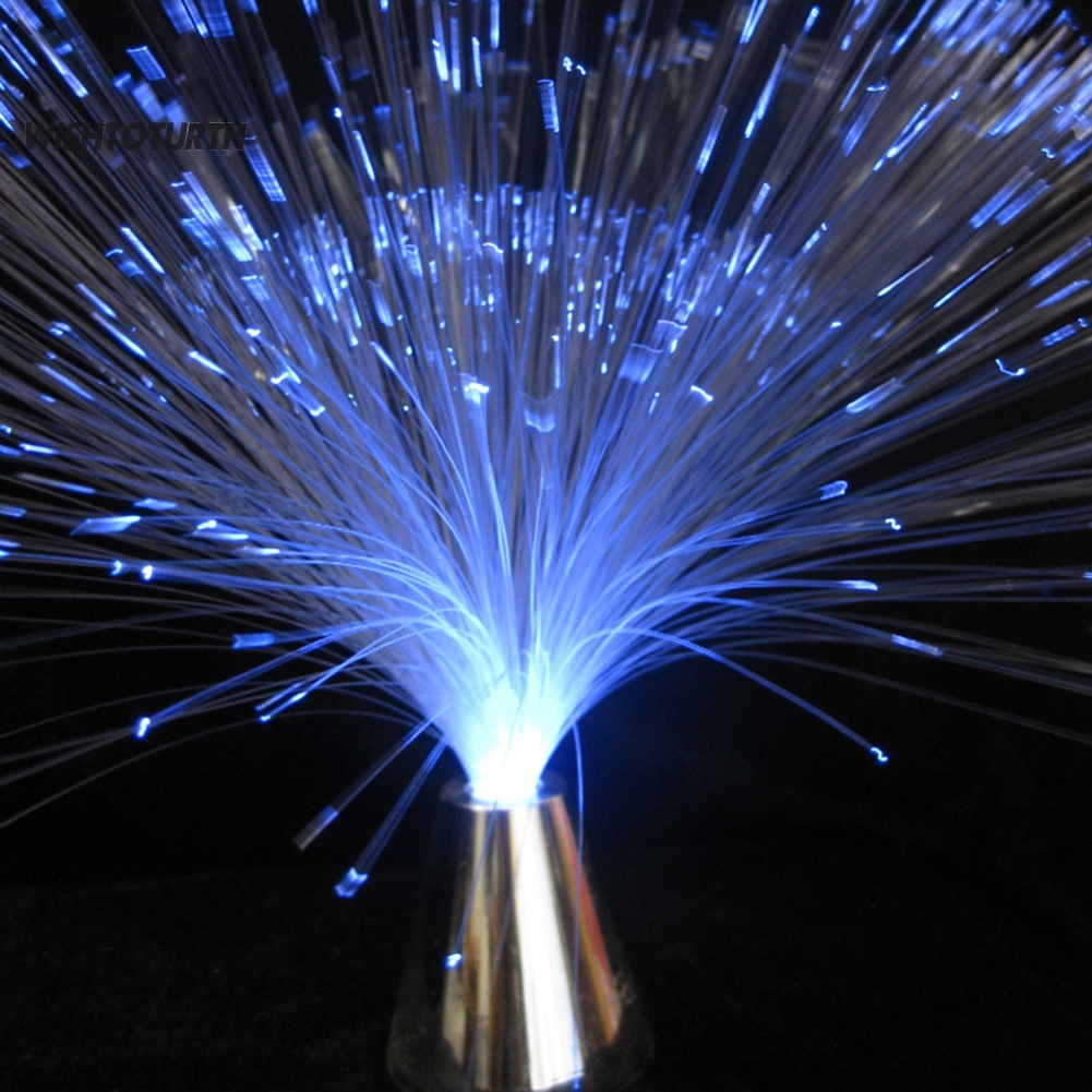 Đèn LED Sợi Quang Ánh Sáng Ban Đêm Thay Đổi Màu Sắc Trang Trí Nhà Cửa / Tiệc Tùng