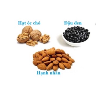 Sữa óc chó Hạt Nhân