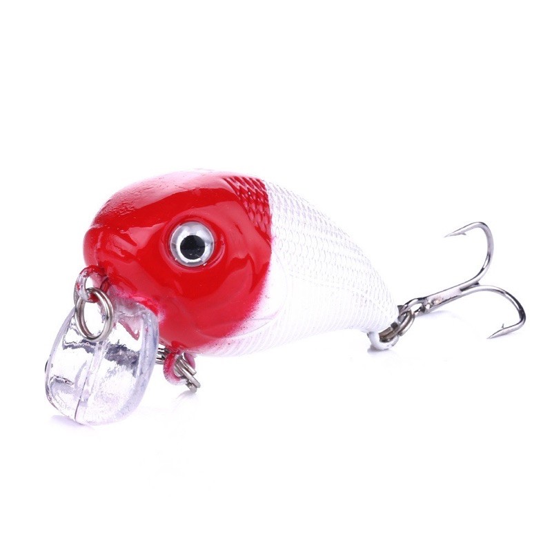 cá voi lưng gù siêu nhạy hàng cao cấp giao màu ngẫu nhiên