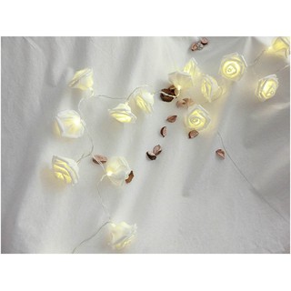 Dây led hoa hồng cực đẹp