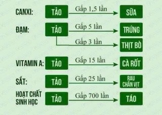 [ Set 10 gói ] Tảo Diệp Lục Collagen