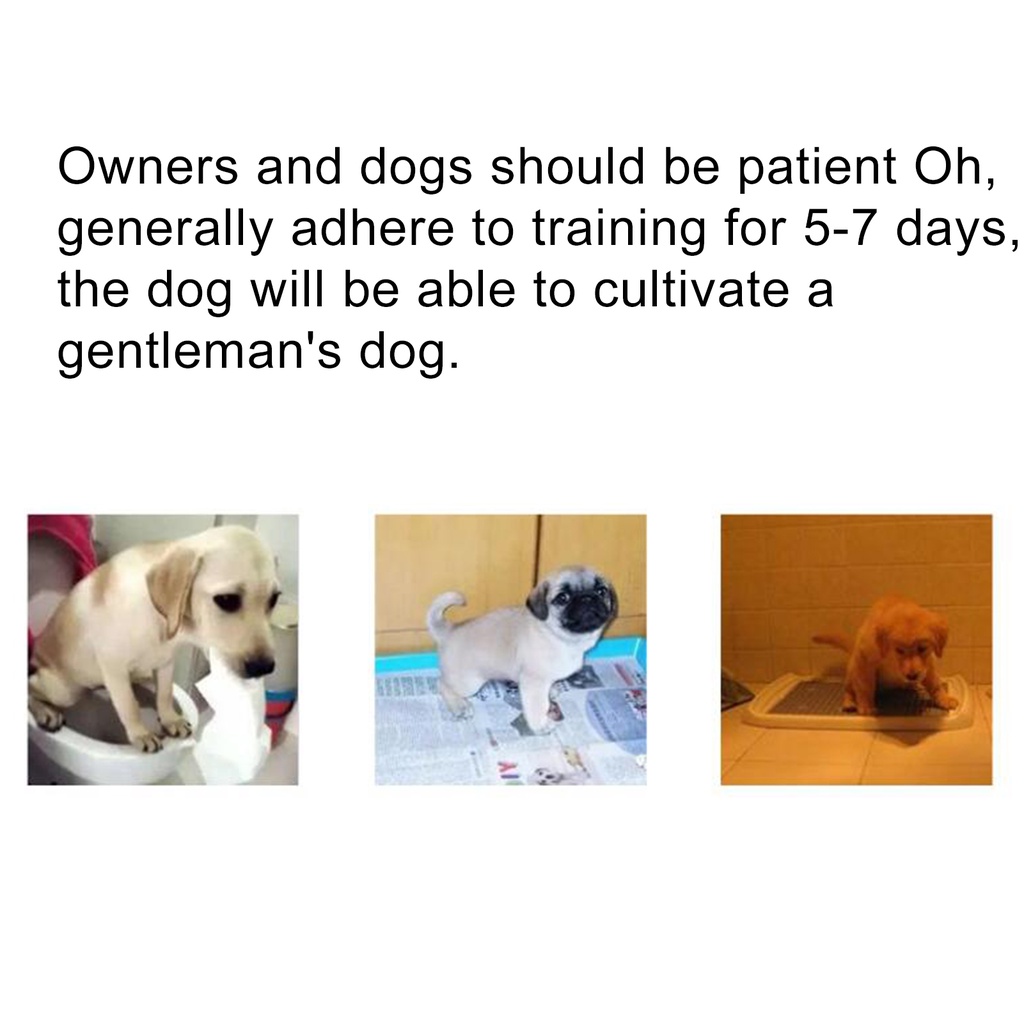 Chai Xịt 30ml Dùng Huấn Luyện Thú Cưng