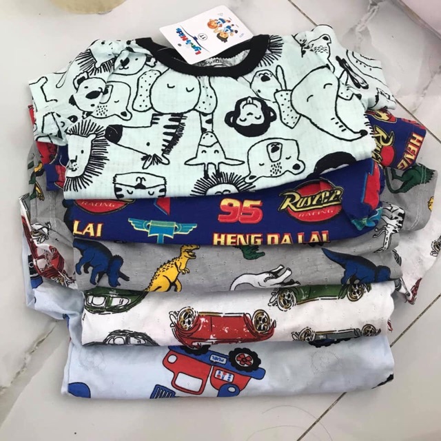 Bộ cotton giấy/thông hơi cộc tay bé trai 8-21 kg ( ảnh thật )