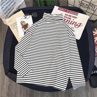 (Sale)  áo phông cổ lọ dài tay