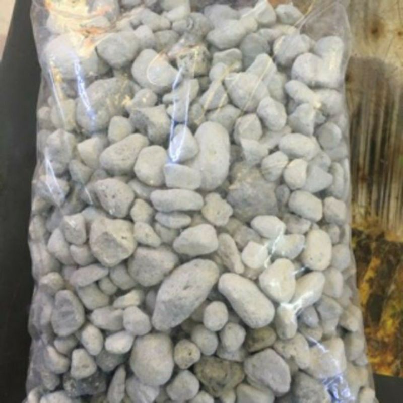 Vật loêu lọc 10g đá lọc Seachem Matris ( 12ml) - Đá lọc vi sinh cực tốt