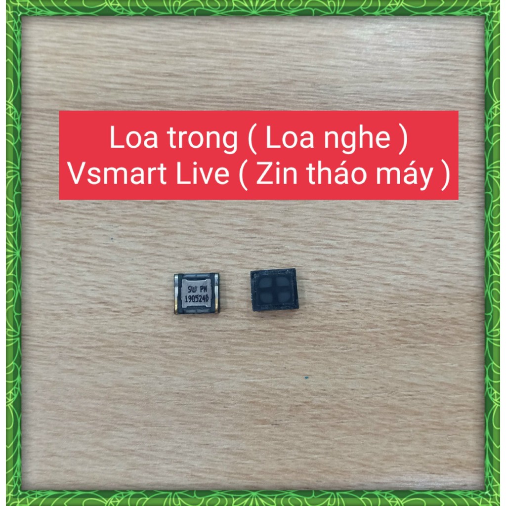 Loa trong  Vsmart Live/V620A