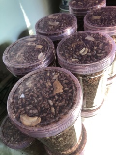 Cốm gạo lứt hạt điều(500g)