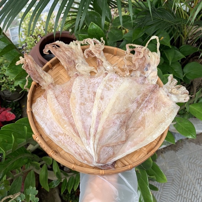 Khô Mực Đà Nẵng loại Ngon, thịt ngọt, cân đúng, size trung M1 18-22 con/kg, Đặc sản Đà Nẵng Ngon HANIGO