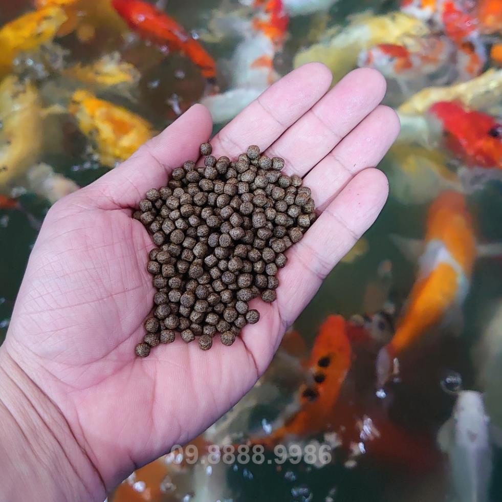 Cám Cá Cảnh, Cá Koi hạt nhỡ 3-5mm (Cho cá size 9cm - 20cm) - Nhanh lên size, lên màu, tăng cường sức đề kháng