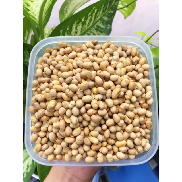 Đậu nành, đậu tương sấy giòn (500g)