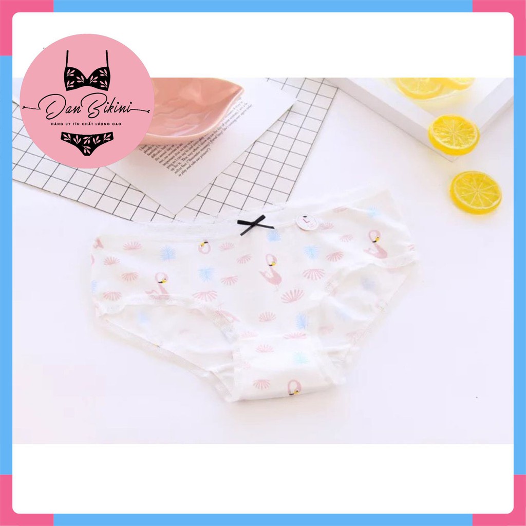 Quần lót Nữ - Quần Lót Nữ Nữ Cotton Flamingo màu sắc tươi mới trẻ trung DAN STORE MÃ C087