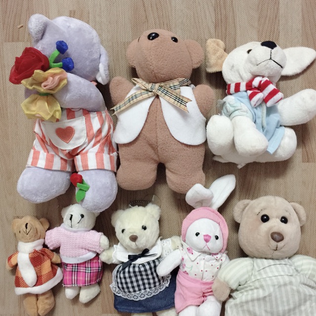 Set gấu c thuỷ tiên