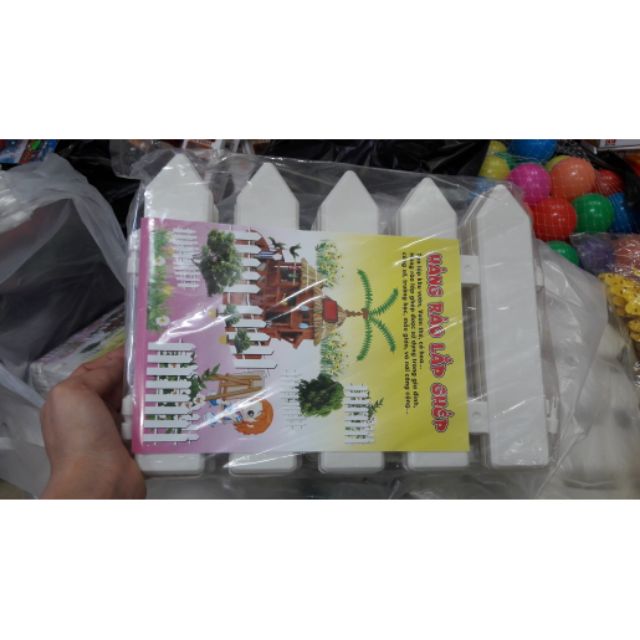 Hàng rào cây thông noel