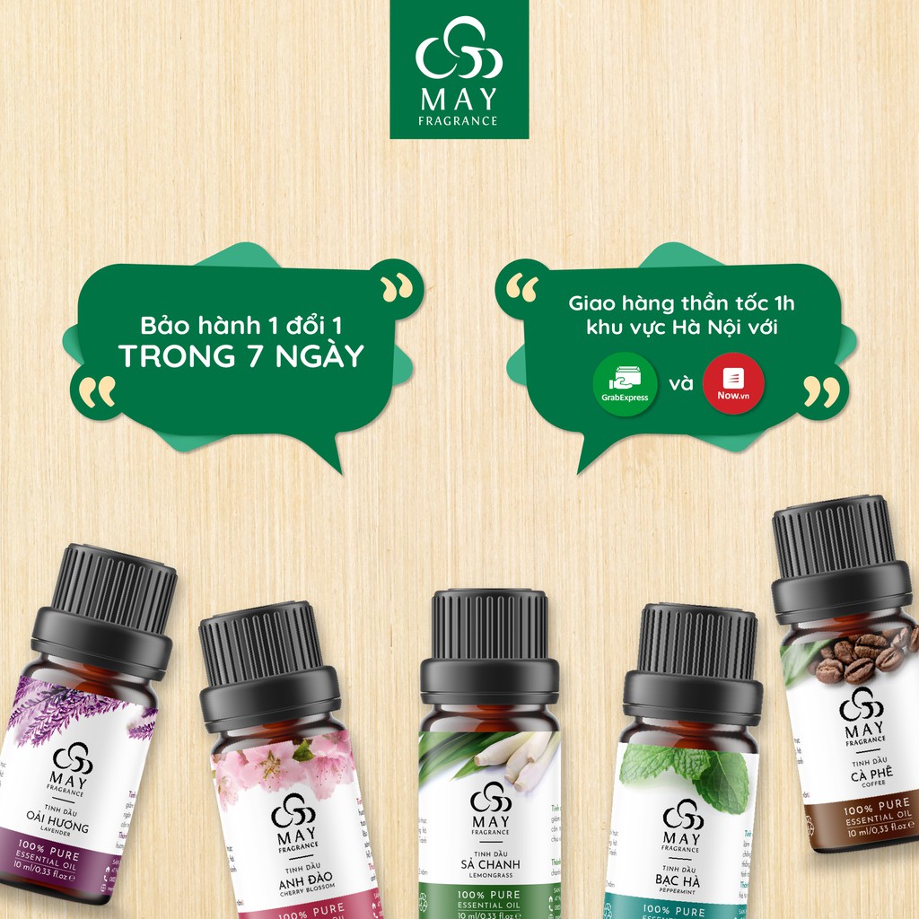 Tinh dầu Hương thảo thiên nhiên thơm phòng May Fragrance | Kiểm nghiệm GC - MS