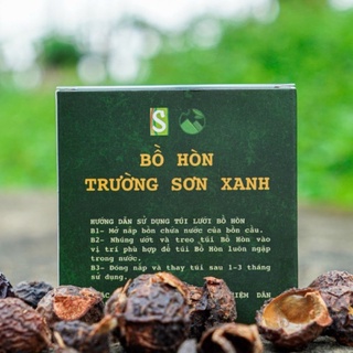Bồ hòn Trường Sơn Xanh