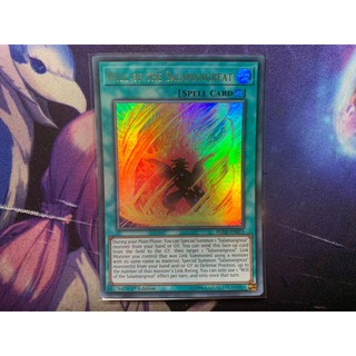 Thẻ Bài Yugioh Chính Hãng Will of the Salamangreat - BLHR-EN073