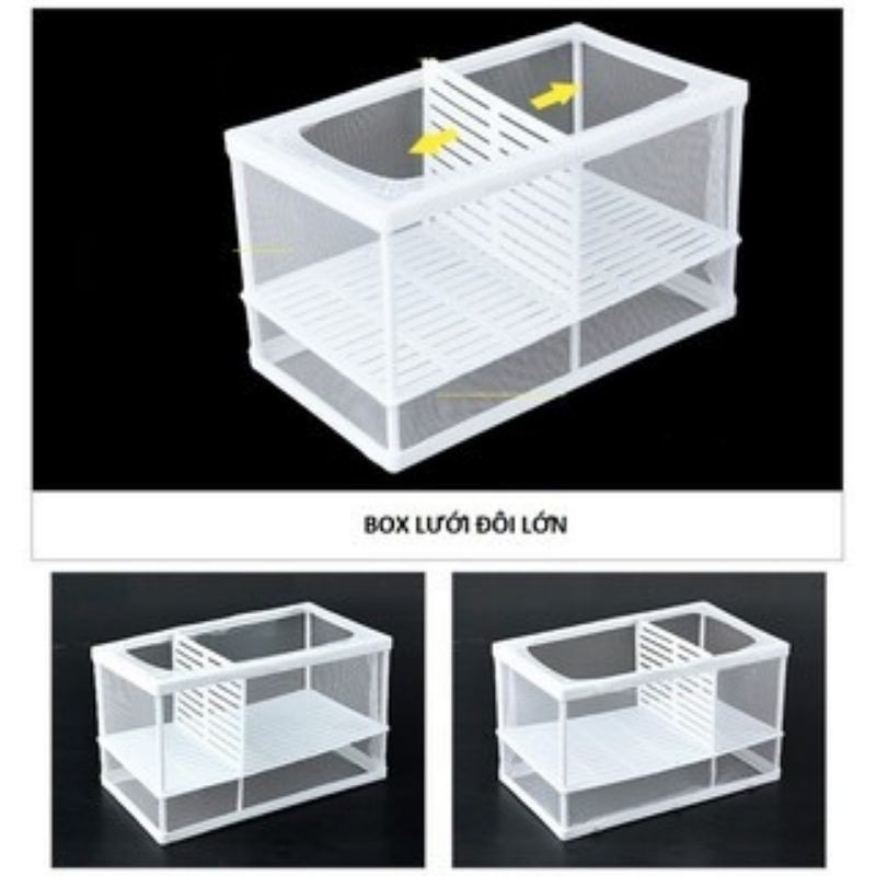 LỒNG ẤP DƯỠNG CÁ CẢNH BAOYU