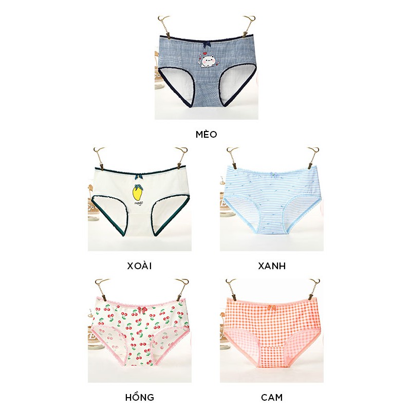 Quần lót nữ dễ thương cotton rẻ đẹp kháng khuẩn phong cách trẻ trung QL29 | BigBuy360 - bigbuy360.vn