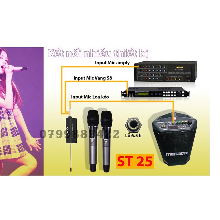 Micro không dây đa năng cao cấp  aiwa UHF  2  MIC